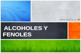ALCOHOLES Y FENOLES Quimica Organica Beatriz Quintero