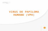 Virus de Papiloma Humano (Vph)
