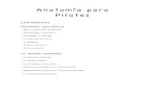 Anatomia fácil para Pilates