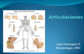 Clase Nº 1 Articulaciones Anatomía Kine