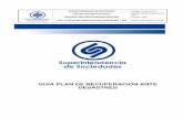 GINF-G-010 Guia_ DRP.pdf