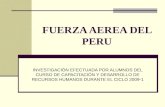 EJEMPLO DE DESARROLLO DE CARRERA -- FUERZA AÉREA DEL PERÚ (FAP)