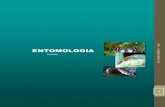 Entomologia- Modulo I Unidad