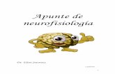 Apunte de Neurofisiologia Del Dr. Eleri Sworres v1
