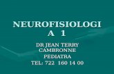 NEUROFISIOLOGIA  1