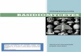 Basidiomycetes Características Generales pdf
