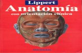 Lippert Anatomia Con Orientacion Clinica