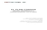 Plan Condor, Origen, Desarrollo, Consecuencias