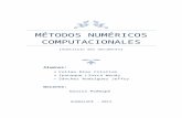 Metodos Numericos Computacionales - Informe