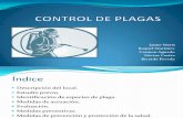 Control de Plagas[1][1]