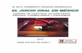 Juicio Oral en Mexico
