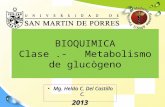 BQ_13_CH_Metabolismo de glucógeno