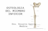 (5) Miembro Inferior-Osteologia.ppt