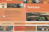 Botanica - Flora Iberica - Libro Guia - Setas (Everest 2006)OCR.pdf