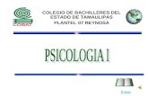 Psicologa i Evolucin y Teoras3951