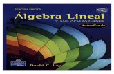 63479200 Algebra Lineal y Sus Aplicaciones Jb Decrypted PDF