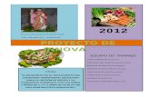 Proyecto de Innovación Biohuerto 2012 - I.E.I. N° 282 San juan Bautista