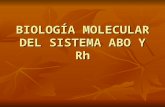 BIOLOGÍA MOLECULAR DEL SISTEMA ABO Y Rh