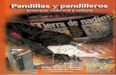 Abilio Vergara Figueroa & Carlos Condori Castillo - Pandillas y Pandilleros, Juventud, Violencia y Cultura