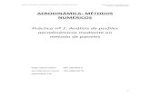 Aerodinámica, trabajo método de paneles.pdf