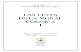 omomraam_620_1 Leyes Moral Cosmica N°1  La otra Mejilla