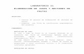 LAB 11 - ELABORACION DE JUGOS Y NÉCTARES