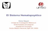 Curso de Actualizacion en Hematologia Diagnostica y Terapeutica Para Residentes 1.1 (1)