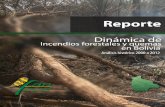 Reporte 2013 Dinamica de Incendios Forestales y Quemas en Bolivia 090813