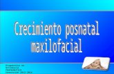 Presentacion Crecimiento Posnatal Maxilofacial