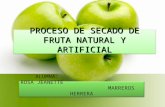 Proceso de Secado de Fruta Natural y Artificial