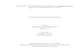 Inclusion harina de quinua en elaboracion de galletas.pdf