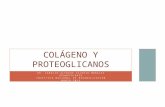 Colágeno y Proteoglicanos Terminada