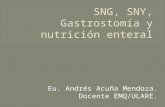 SNG, SNY, Gastrostomía y alimentación enteral