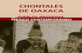 Chontales Oaxaca