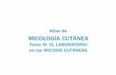Atlas_tomo3 Micologia Cutanea