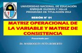 Modelo de Operacionalizacion de Variables y Matriz de Consistencia