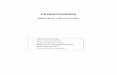 cromatografia - principios y aplicaciones_.pdf