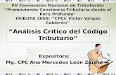 Analisis Criticos Del Codigo Tributario