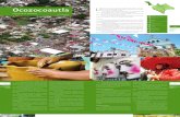 Ocozocoautla de Espinosa | Municipio+GPS