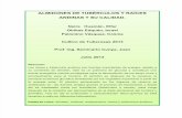 INFORME DE ALMIDONES DE TUBÉRCULOS Y RAICES Y SU CALIDAD MJda (Autoguardado)