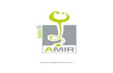 AMIR PDF Examen MIR 28 de Enero de 2012
