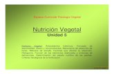 UT5 Nutricion Vegetal 2010