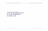 Anfisbena Culebra