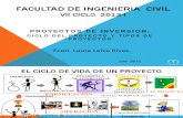 Proyectos de Inversion Ciclo, Tipos y Estructura