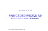 Parte 04 Reservorios Lucio Carrillo Condensados