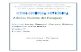 Arboles Nativos Del Paraguay