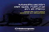 Libro de Masificacion Del Gas Natural Para WEB[1]