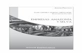 PCGE- EMPRESAS APICACION AMAZONIA Y SELVA.pdf