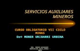 SERVICIOS AUXILIARES MINEROS POWER.ppt