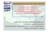 Biotec en Fenoles Biorremediacion
